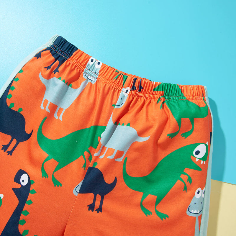 Boys Dinosaur Print Raglan Sleeve T-Shirt and Shorts Set - Sexy~N~Snappy